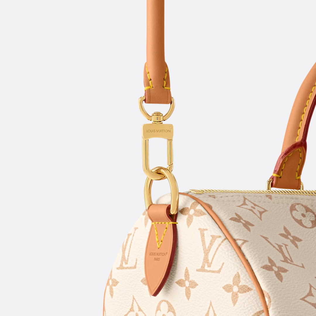 Louis Vuitton Medium-sized Handbag – Exclusive
