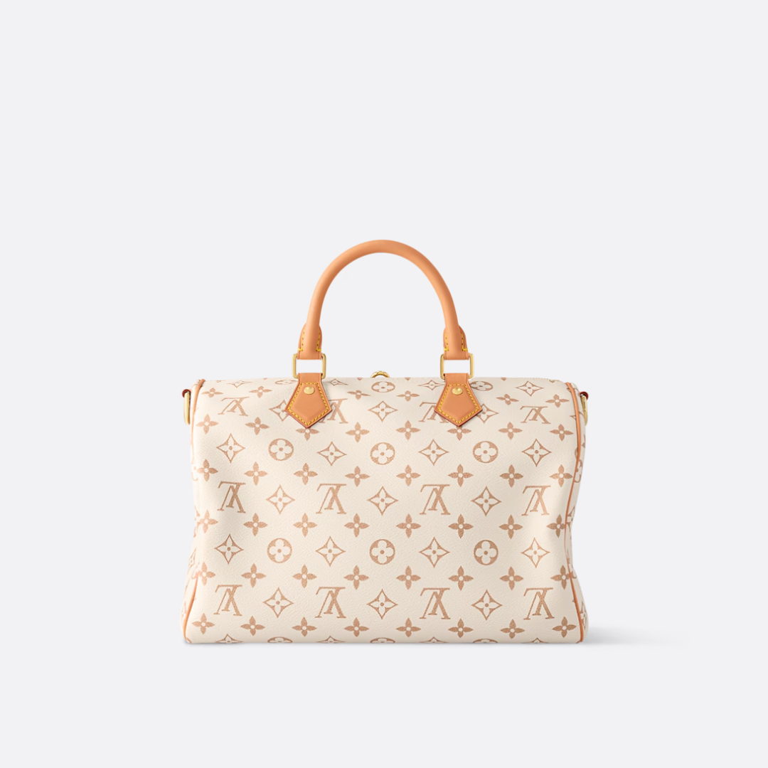 Louis Vuitton Medium-sized Handbag – Exclusive