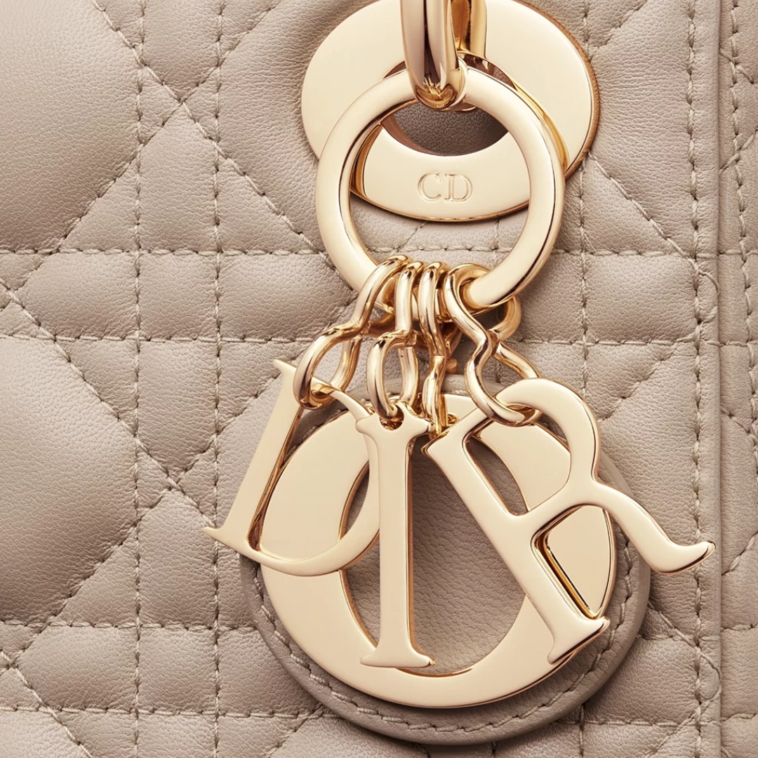 Mini Lady Dior Bag – Exclusive