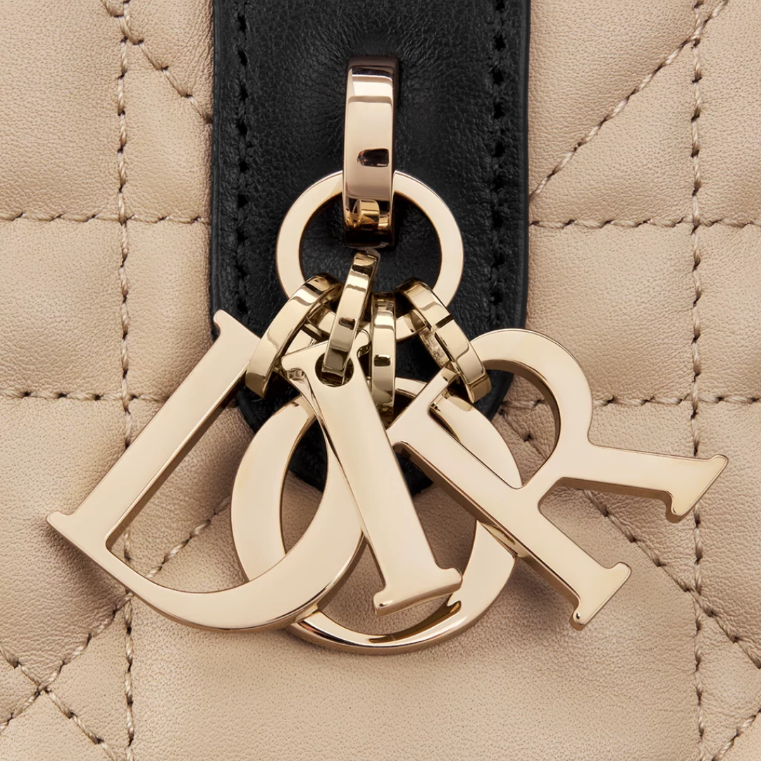 Dior Toujours Bag – Small