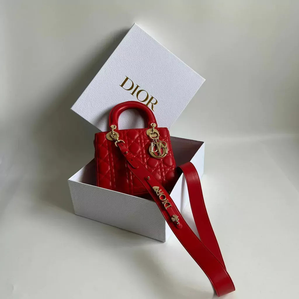 Mini Lady Dior Bag – Exclusive