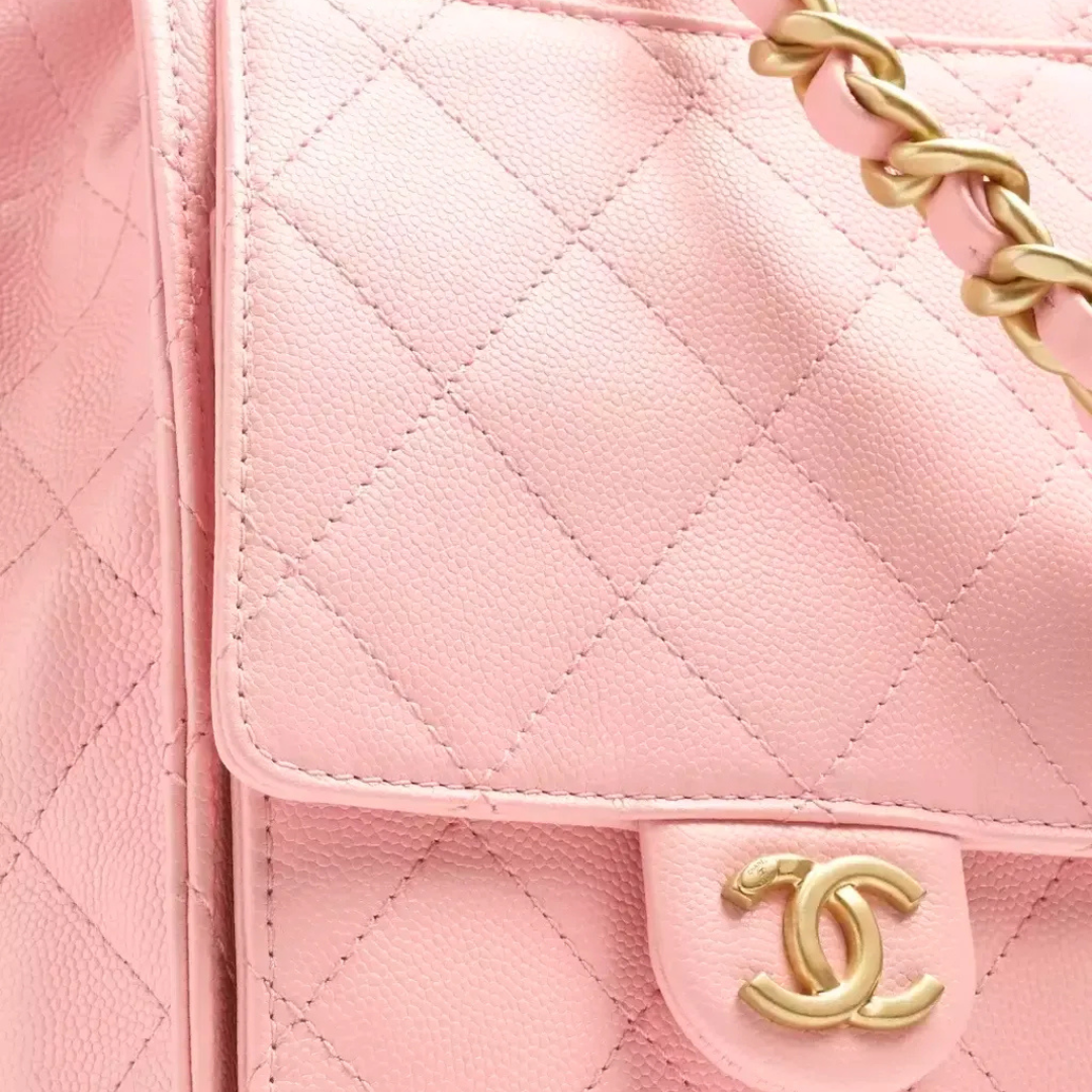 Chanel 25 Medium-sized Bag – Exclusive