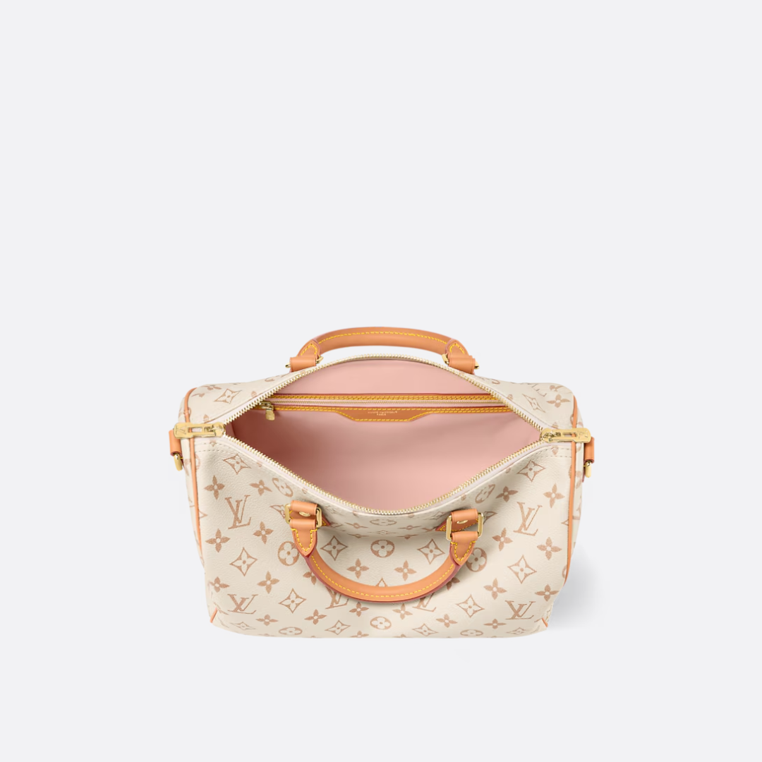 Louis Vuitton Medium-sized Handbag – Exclusive