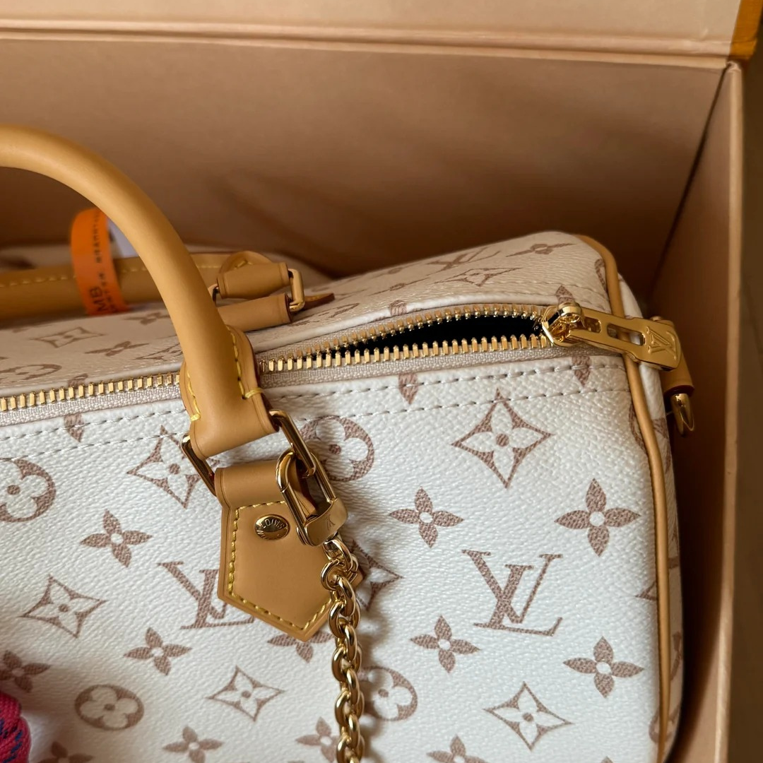 Louis Vuitton Medium-sized Handbag – Exclusive