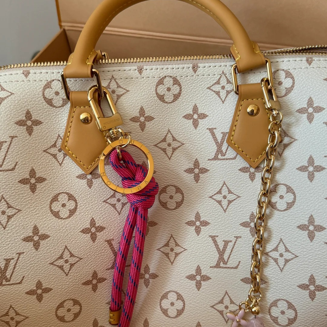 Louis Vuitton Medium-sized Handbag – Exclusive