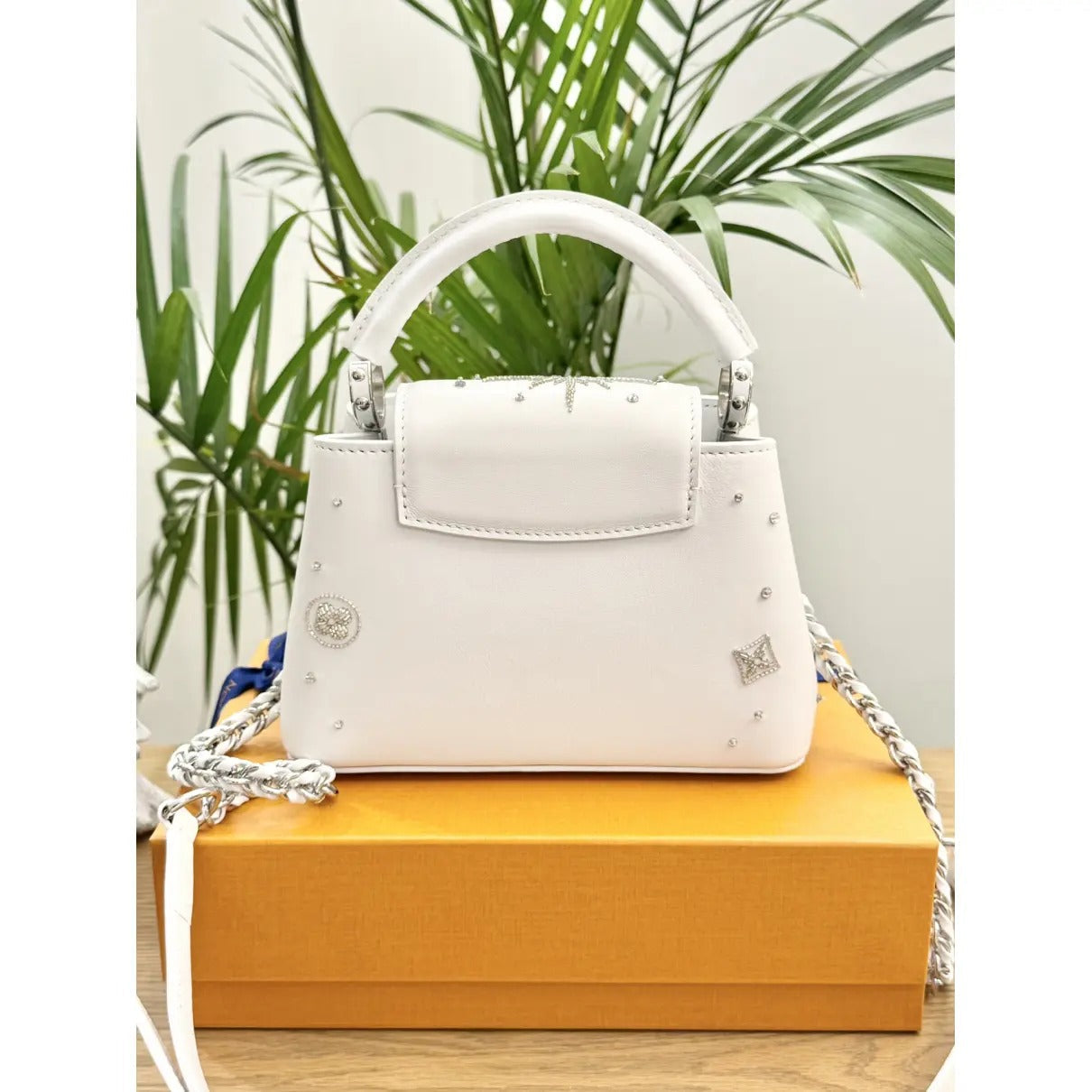 Louis Vuitton Capucines Bag – Mini