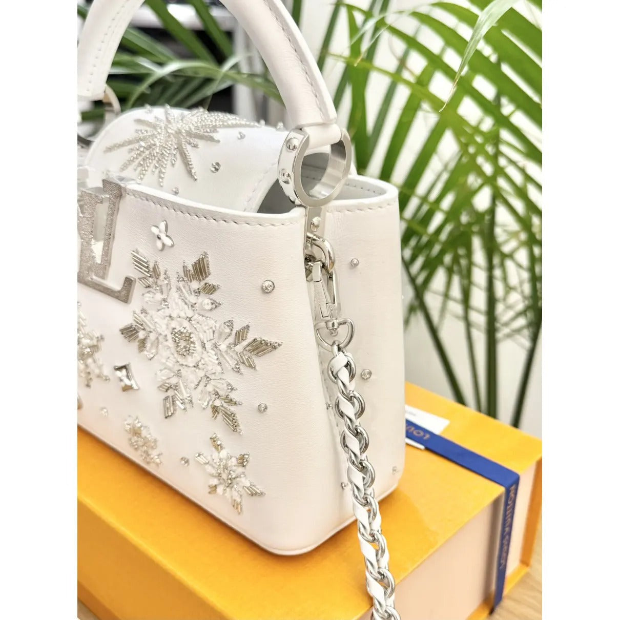 Louis Vuitton Capucines Bag – Mini