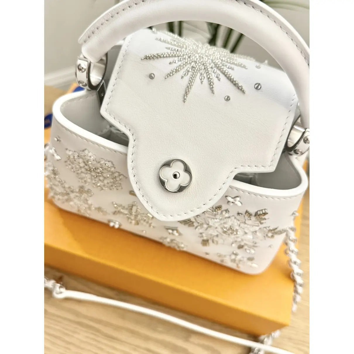 Louis Vuitton Capucines Bag – Mini